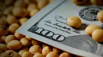 El Gobierno suspende retenciones a la soja y otros granos hasta fines de octubre para fomentar el ingreso de dólares