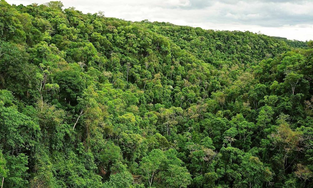 Puerto Iguazú se prepara para la segunda edición de la Travesía a Nado en el río Iguazú