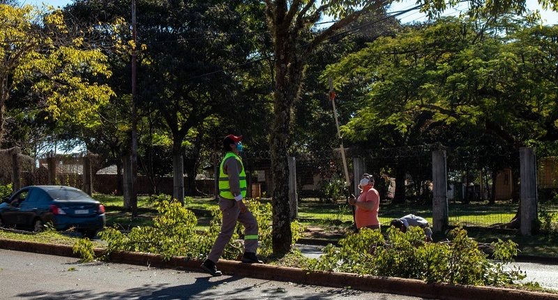 Posadas lanza un nuevo operativo de poda: barrios afectados y recomendaciones para circular