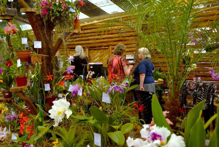 Montecarlo brilló con su Fiesta de la Flor y la Orquídea: más de 6.000 personas y 450 especies en exhibición