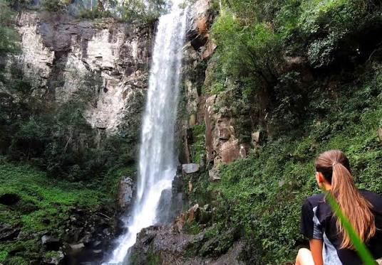 Salto Encantado invita a vivir la selva misionera con una propuesta especial de verano