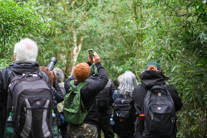 Misiones presentó su propuesta de turismo de naturaleza y observación de aves en un encuentro internacional