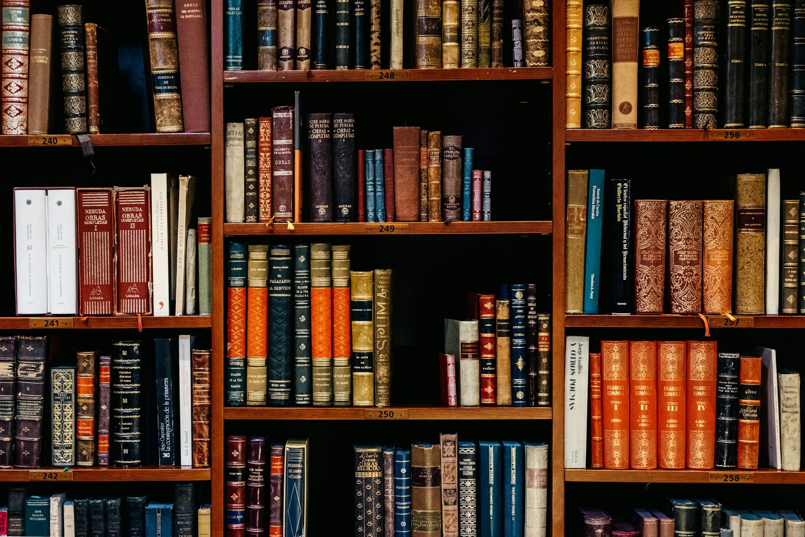 Argentina celebra este domingo el Día del Bibliotecario